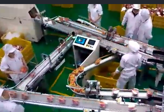 當(dāng)輸送帶出現(xiàn)跑偏后，怎么辦？