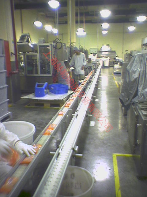 柔性輸送線常識(shí)的分享 柔性輸送線常識(shí)的分享